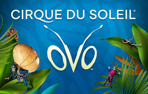 Cirque du Soleil OVO