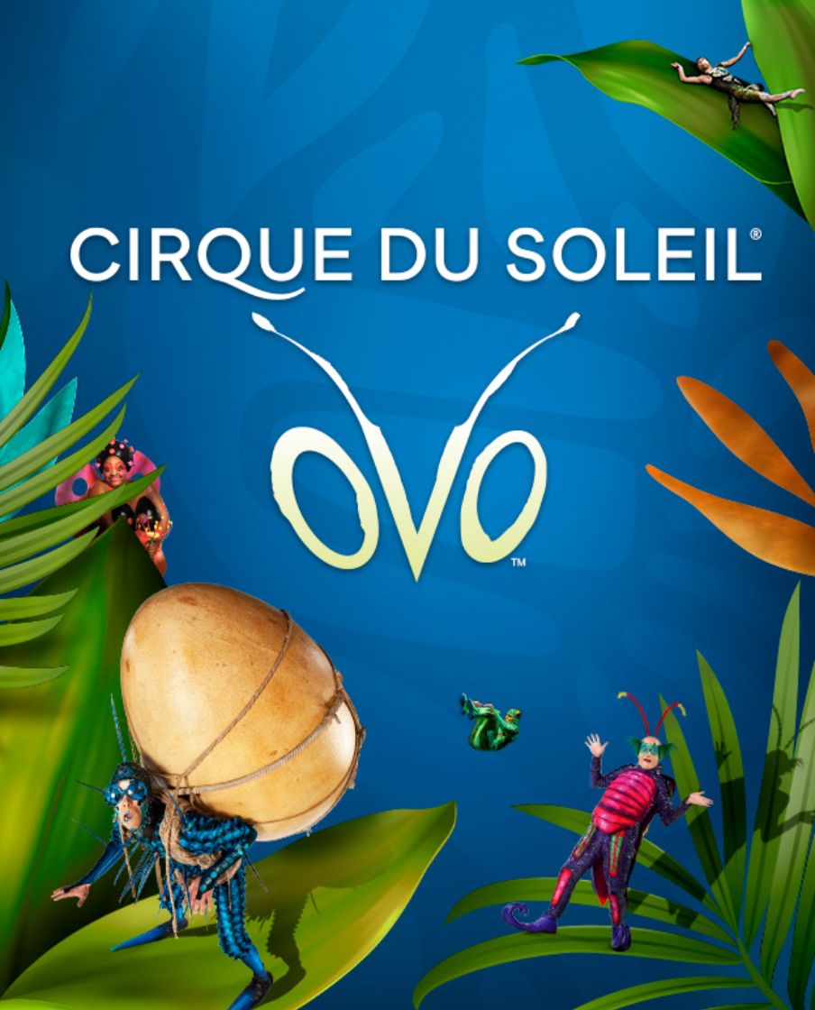 Cirque du Soleil OVO at INTRUST Bank Arena - FEB 7 - 9