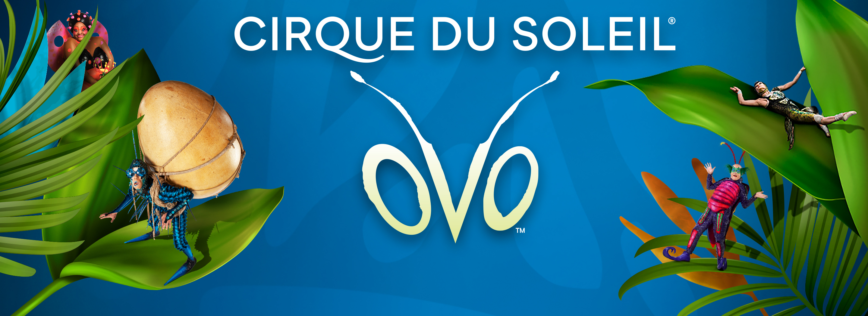 Cirque du Soleil OVO at INTRUST Bank Arena - FEB 7 - 9